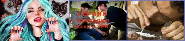 трава Бородино