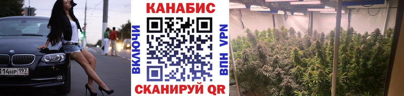 МАРИХУАНА семена  Купить закладки  Семёнов 